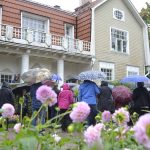 Kaunis Håkansbölen kartano, Vantaa. Etualalla kukkia ja ihmisiä kuuntelemassa opastusta sateenvarjot kädessä.
