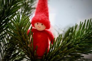 Joulutonttu havun oksalla