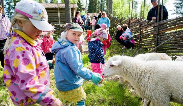 lapsia ja lampaita konneveden kotiseutumuseolla kuva jussi miettinen