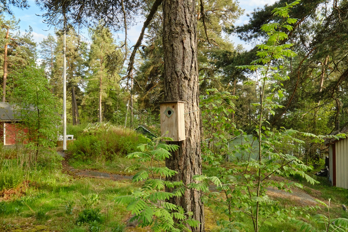 Linnunpönttö vehreässä maisemassa